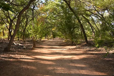 Rio Grande Valley Trail Riding