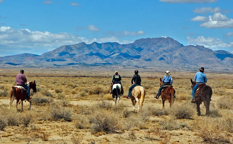 Horseback trail riding near Kiva RV Park in the Rio Grande Valley